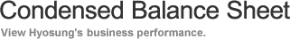 Condensed Balace Sheet - View Hyosung's global business performance.
